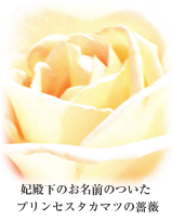 妃殿下のお名前のついた プリンセスタカマツの薔薇 
