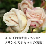 妃殿下のお名前のついた プリンセスタカマツの薔薇 